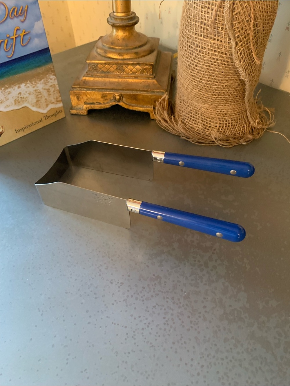 KALE KUT’R, square stainless steel cake cutter SLICES and serves in square shape